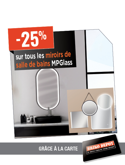 Promotion BRIKO DEPOT