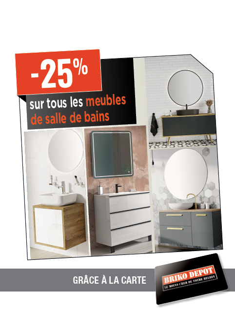 Promotion BRIKO DEPOT