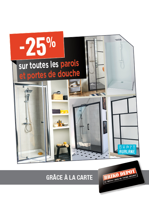 Promotion BRIKO DEPOT
