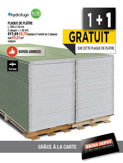 Promotion BRIKO DEPOT