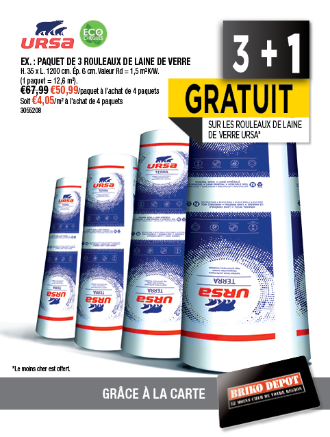 Promotion BRIKO DEPOT