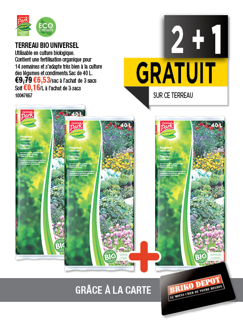 Promotion BRIKO DEPOT