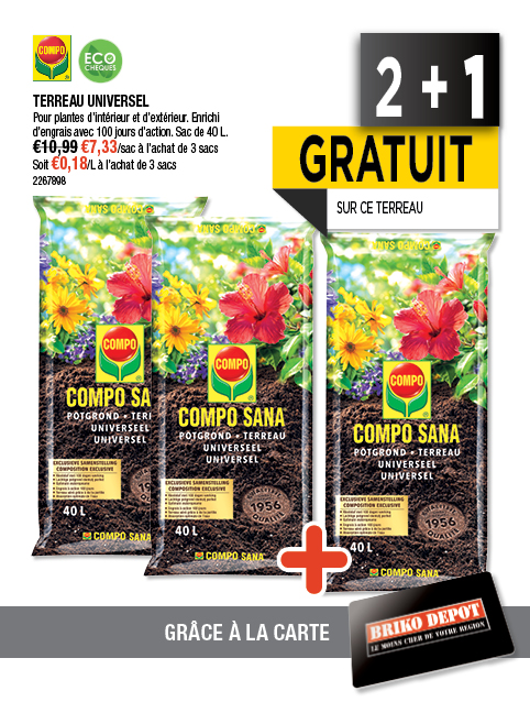 Promotion BRIKO DEPOT