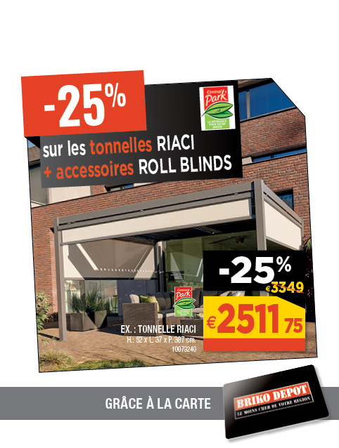 Promotion BRIKO DEPOT