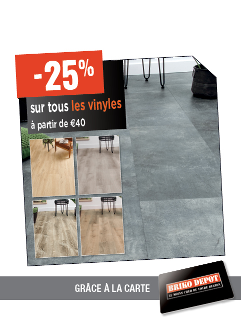 Promotion BRIKO DEPOT