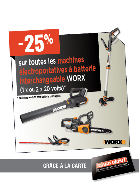 Promotion BRIKO DEPOT