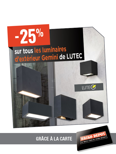 Promotion BRIKO DEPOT