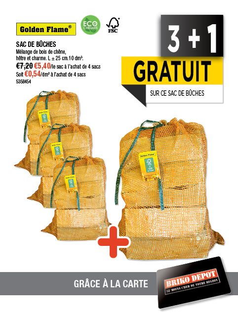 Promotion BRIKO DEPOT