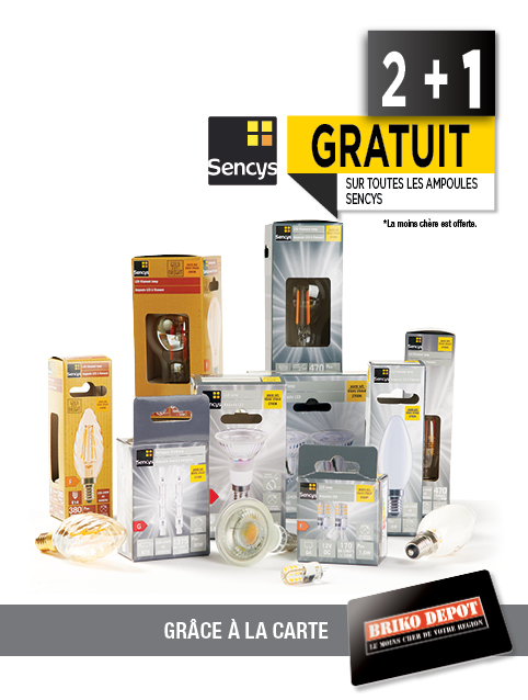 Promotion BRIKO DEPOT