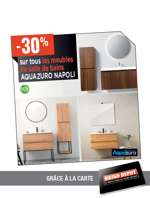 Promotion BRIKO DEPOT