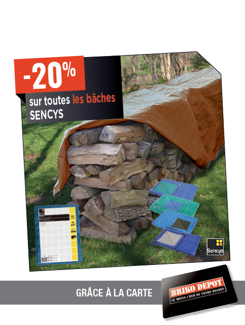 Promotion BRIKO DEPOT