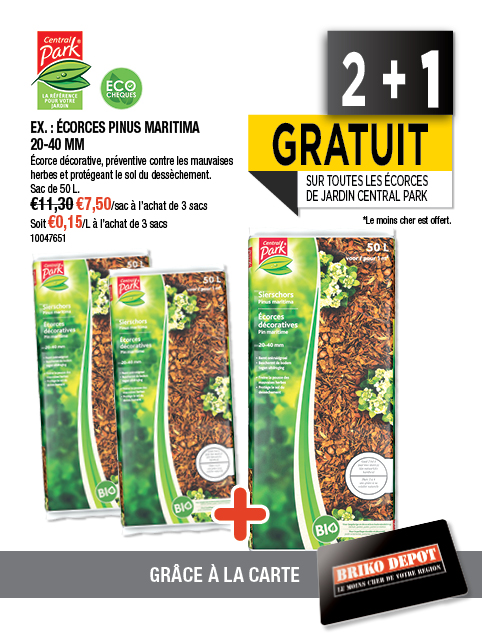 Promotion BRIKO DEPOT
