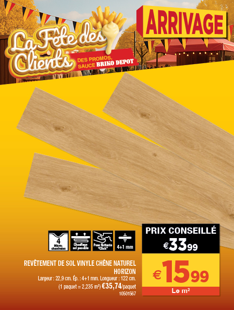 Promotion BRIKO DEPOT