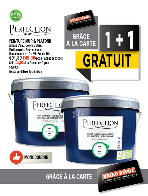 Promotion BRIKO DEPOT