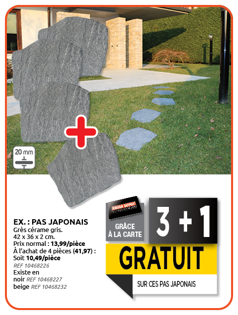 Promotion BRIKO DEPOT