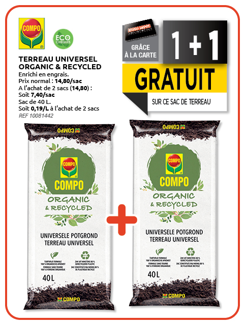 Promotion BRIKO DEPOT